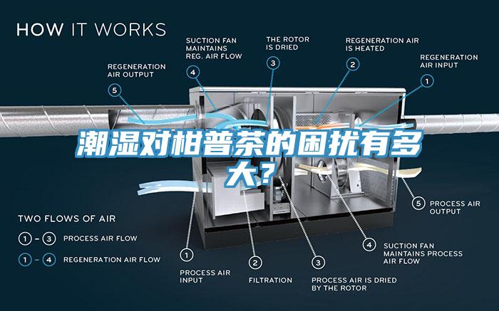 潮濕對(duì)柑普茶的困擾有多大？