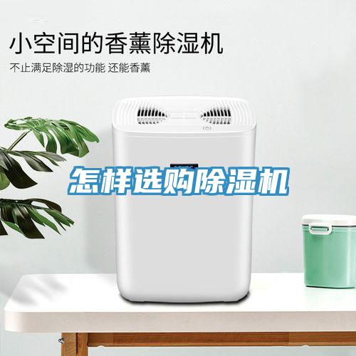 怎樣選購除濕機