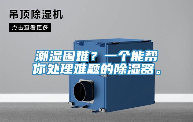 潮濕困難？一個能幫你處理難題的除濕器。