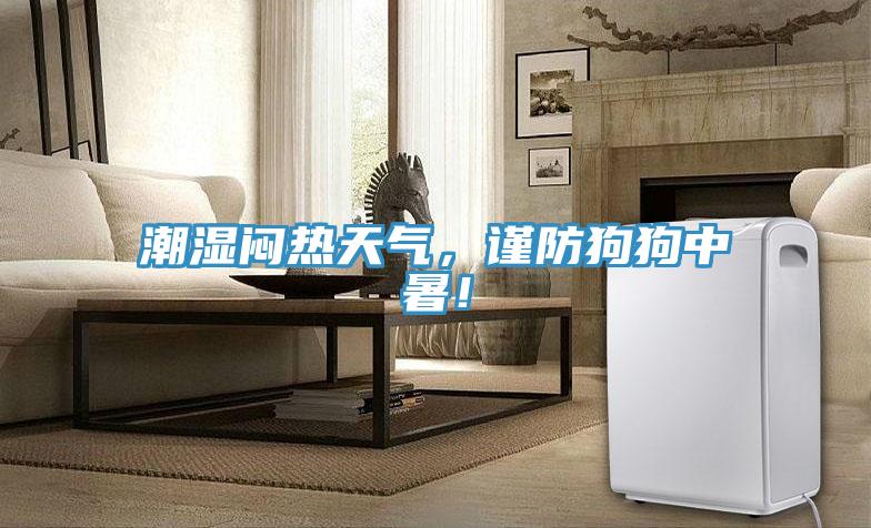 潮濕悶熱天氣，謹防狗狗中暑！