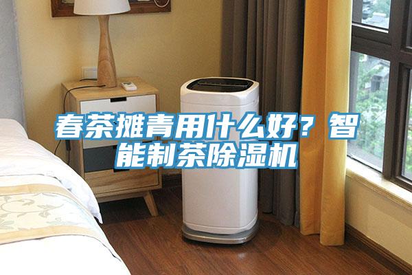 春茶攤青用什么好？智能制茶除濕機(jī)
