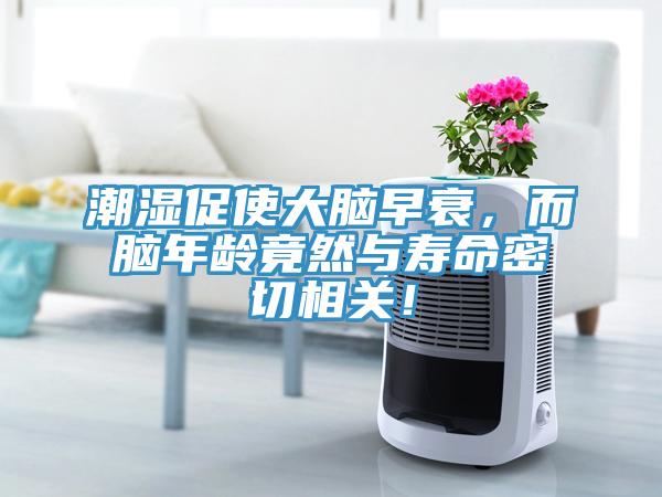 潮濕促使大腦早衰，而腦年齡竟然與壽命密切相關(guān)！