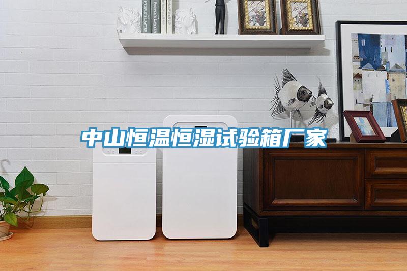 中山恒溫恒濕試驗箱廠家