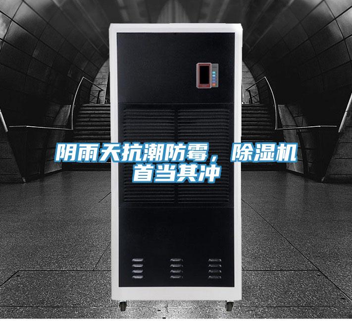 陰雨天抗潮防霉，除濕機首當其沖