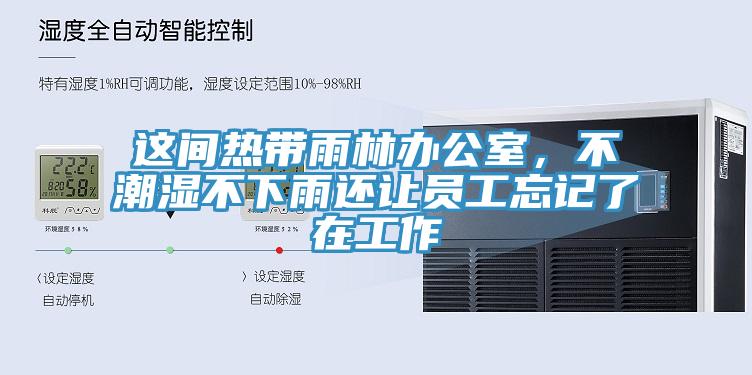 這間熱帶雨林辦公室，不潮濕不下雨還讓員工忘記了在工作