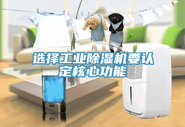 選擇工業(yè)除濕機(jī)要認(rèn)定核心功能