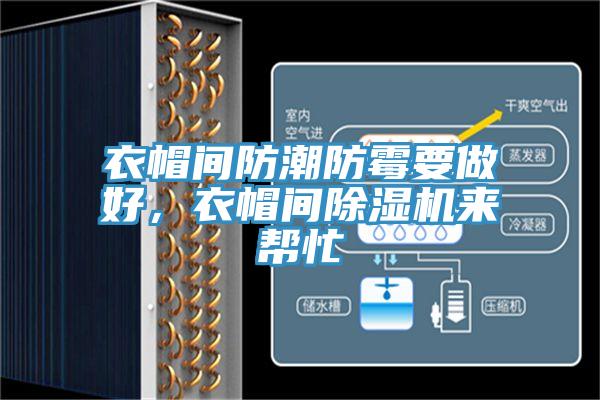 衣帽間防潮防霉要做好，衣帽間除濕機(jī)來(lái)幫忙