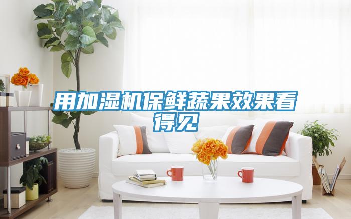 用加濕機(jī)保鮮蔬果效果看得見