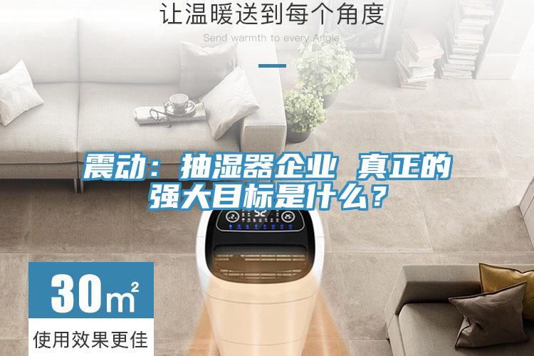 震動(dòng)：抽濕器企業(yè) 真正的強(qiáng)大目標(biāo)是什么？