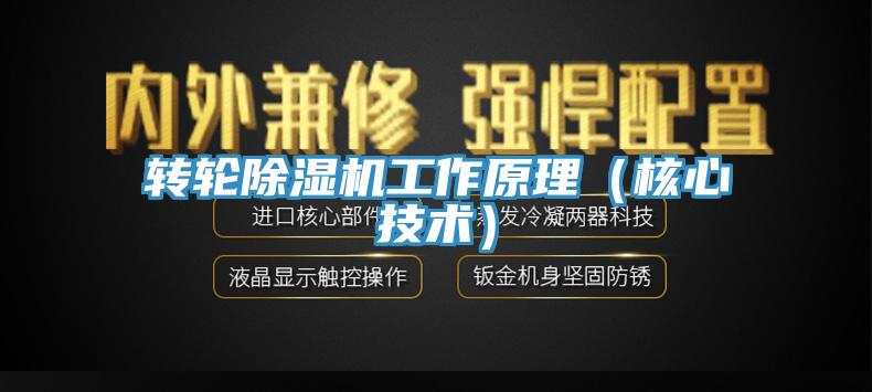轉(zhuǎn)輪除濕機工作原理（核心技術）
