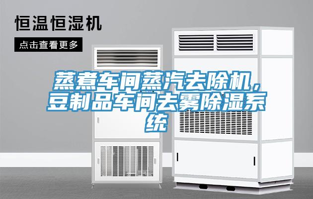 蒸煮車間蒸汽去除機(jī)，豆制品車間去霧除濕系統(tǒng)