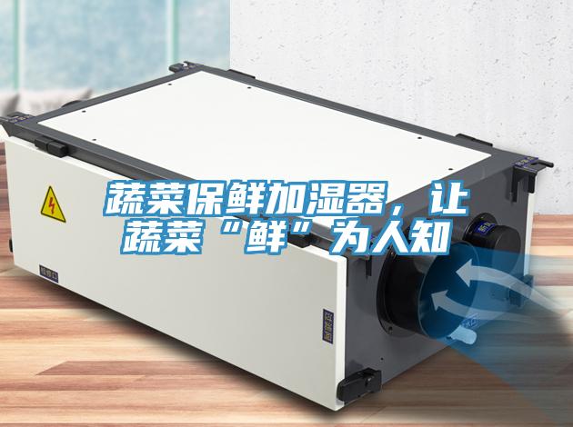 蔬菜保鮮加濕器，讓蔬菜“鮮”為人知