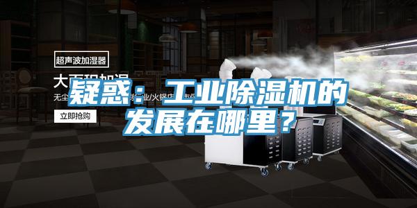 疑惑：工業(yè)除濕機的發(fā)展在哪里？