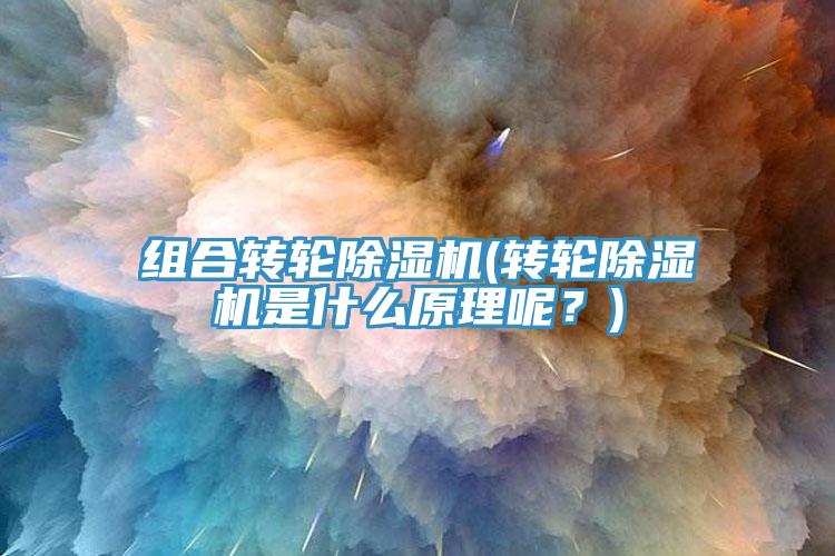 組合轉(zhuǎn)輪除濕機(jī)(轉(zhuǎn)輪除濕機(jī)是什么原理呢？)