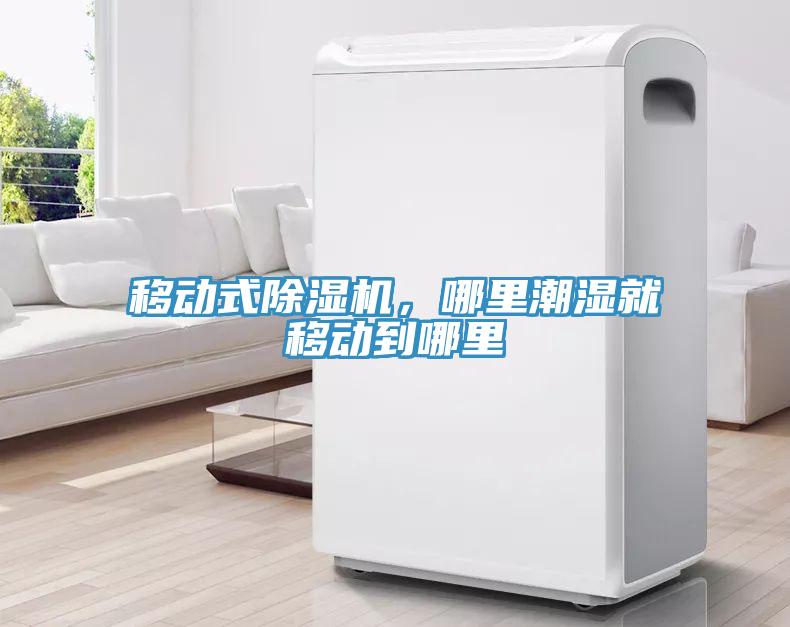 移動(dòng)式除濕機(jī)，哪里潮濕就移動(dòng)到哪里