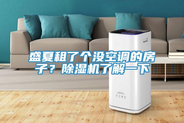 盛夏租了個(gè)沒空調(diào)的房子？除濕機(jī)了解一下