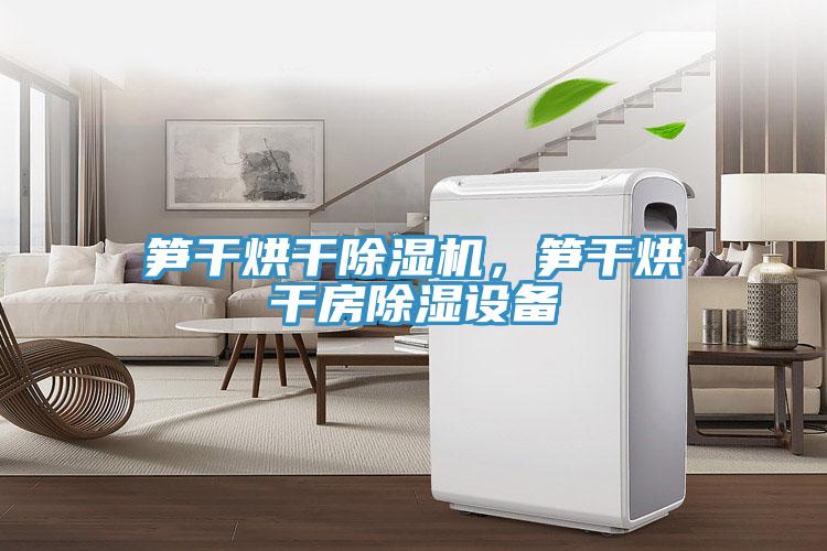 筍干烘干除濕機，筍干烘干房除濕設(shè)備