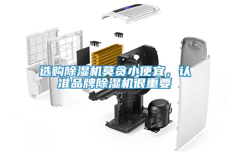 選購除濕機(jī)莫貪小便宜，認(rèn)準(zhǔn)品牌除濕機(jī)很重要