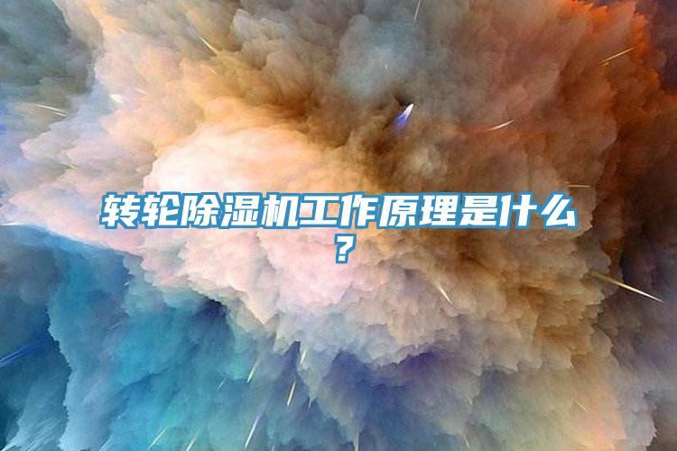 轉(zhuǎn)輪除濕機工作原理是什么？