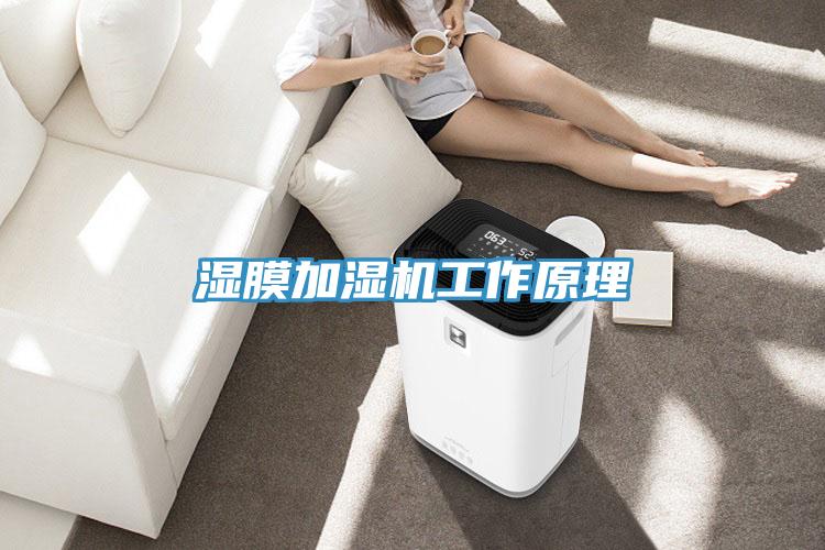 濕膜加濕機(jī)工作原理