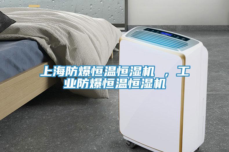 上海防爆恒溫恒濕機 ，工業(yè)防爆恒溫恒濕機