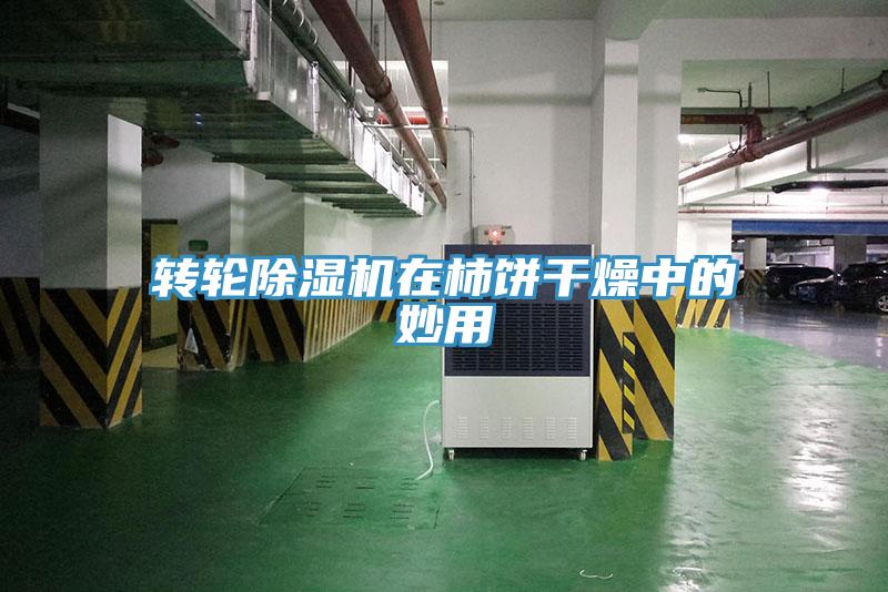 轉(zhuǎn)輪除濕機(jī)在柿餅干燥中的妙用