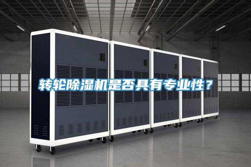 轉(zhuǎn)輪除濕機(jī)是否具有專業(yè)性？