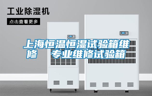 上海恒溫恒濕試驗(yàn)箱維修  專業(yè)維修試驗(yàn)箱