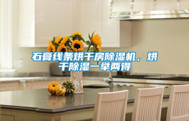 石膏線條烘干房除濕機(jī)，烘干除濕一舉兩得