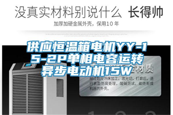 供應(yīng)恒溫箱電機YY-15-2P單相電容運轉(zhuǎn)異步電動機15W