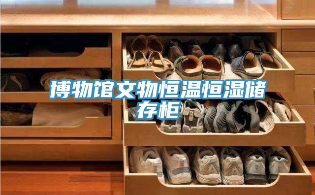 博物館文物恒溫恒濕儲存柜