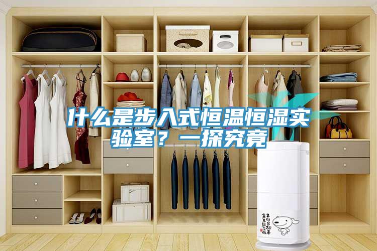 什么是步入式恒溫恒濕實(shí)驗(yàn)室？一探究竟