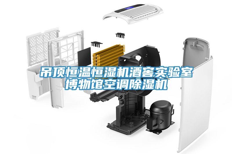吊頂恒溫恒濕機酒窖實驗室博物館空調除濕機