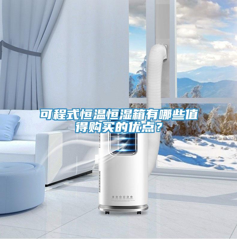 可程式恒溫恒濕箱有哪些值得購買的優(yōu)點(diǎn)？