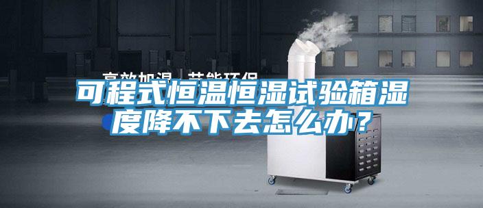 可程式恒溫恒濕試驗(yàn)箱濕度降不下去怎么辦？