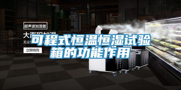 可程式恒溫恒濕試驗(yàn)箱的功能作用
