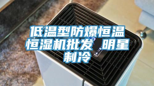 低溫型防爆恒溫恒濕機(jī)批發(fā) 明星制冷