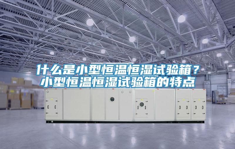 什么是小型恒溫恒濕試驗箱？小型恒溫恒濕試驗箱的特點