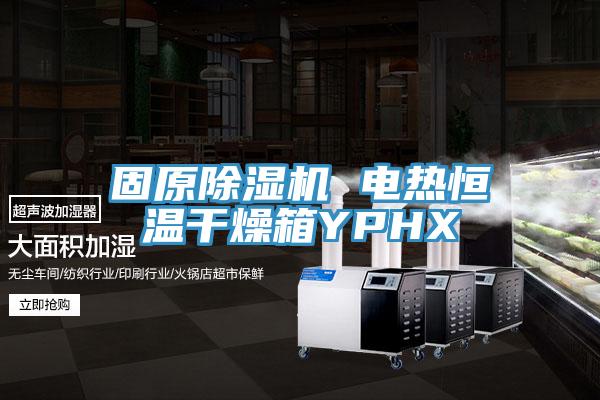 固原除濕機(jī) 電熱恒溫干燥箱YPHX