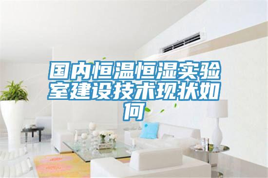 國內(nèi)恒溫恒濕實(shí)驗(yàn)室建設(shè)技術(shù)現(xiàn)狀如何