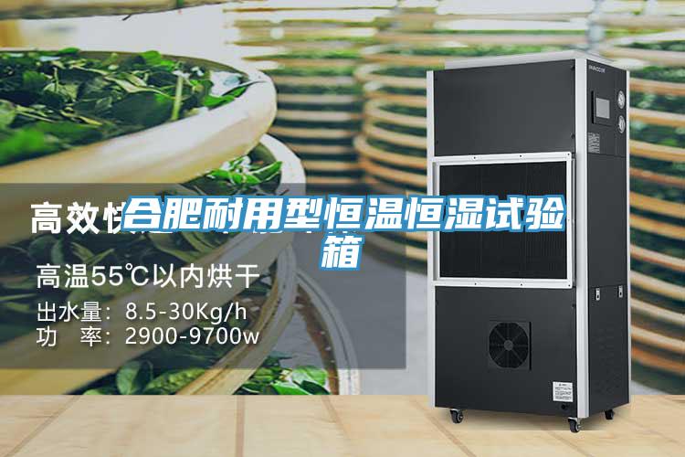 合肥耐用型恒溫恒濕試驗(yàn)箱