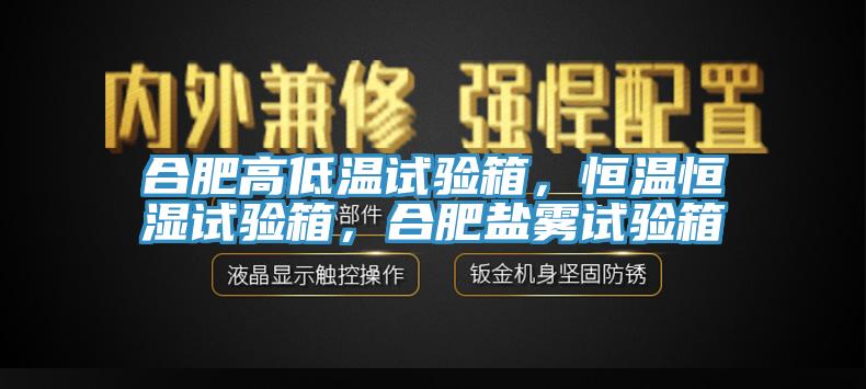 合肥高低溫試驗(yàn)箱，恒溫恒濕試驗(yàn)箱，合肥鹽霧試驗(yàn)箱