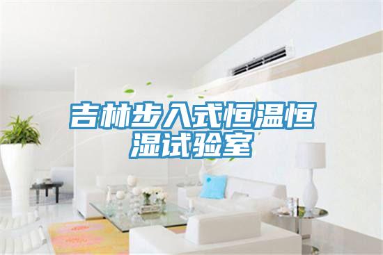吉林步入式恒溫恒濕試驗(yàn)室