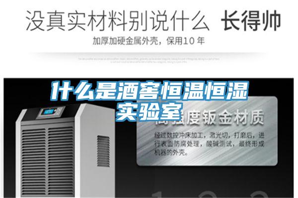 什么是酒窖恒溫恒濕實(shí)驗(yàn)室