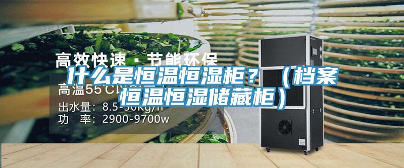 什么是恒溫恒濕柜？（檔案恒溫恒濕儲藏柜）