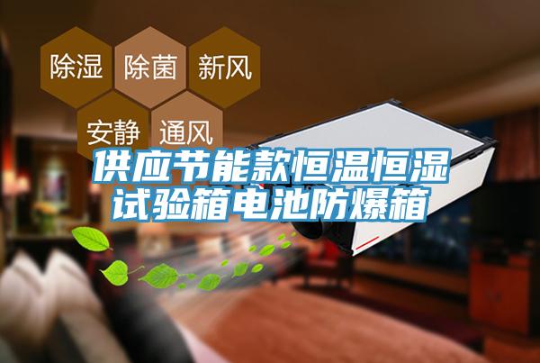 供應(yīng)節(jié)能款恒溫恒濕試驗箱電池防爆箱