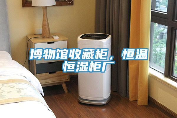 博物館收藏柜，恒溫恒濕柜廠
