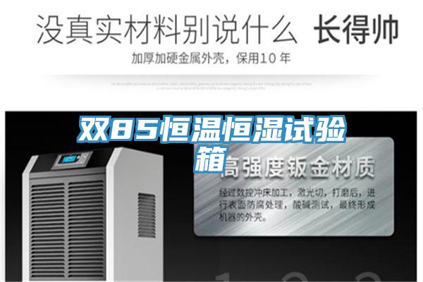 雙85恒溫恒濕試驗箱