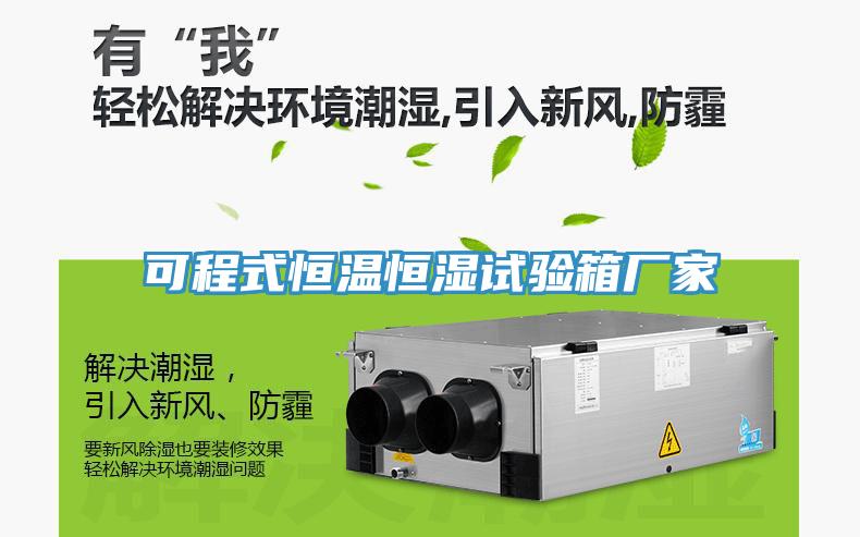 可程式恒溫恒濕試驗箱廠家