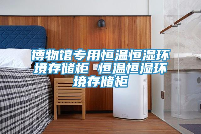 博物館專用恒溫恒濕環(huán)境存儲柜 恒溫恒濕環(huán)境存儲柜